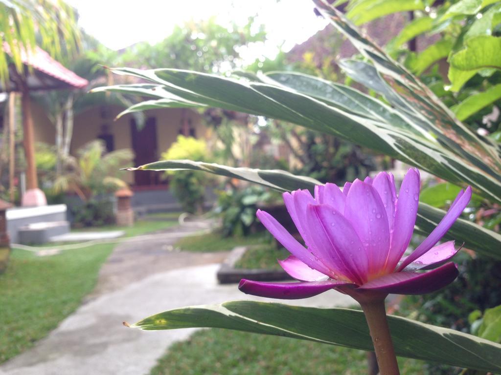 Dimuwa Ubud Habitación foto