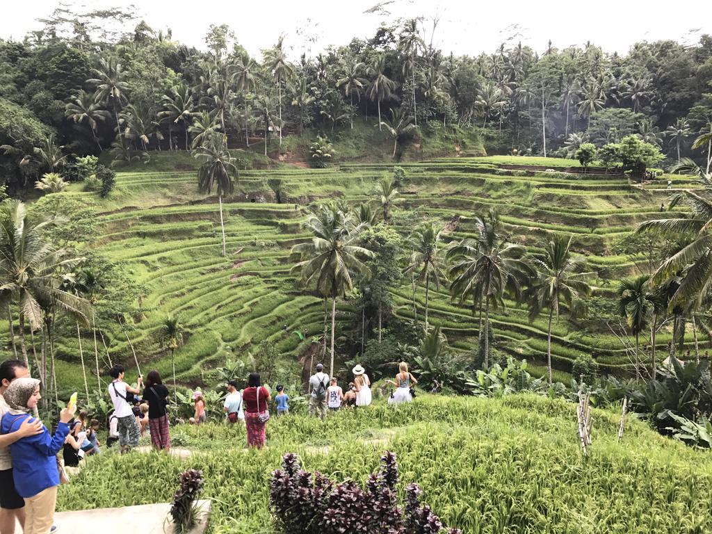 Dimuwa Ubud Exterior foto